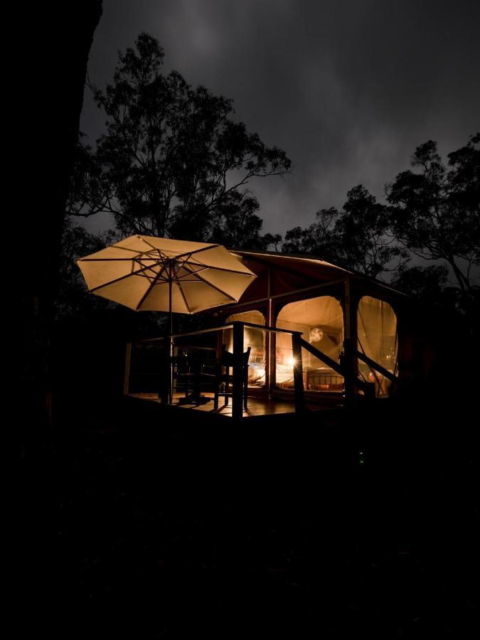 Wild Nature Lodge, Mareeba Wetlands Biboohra Bagian luar foto