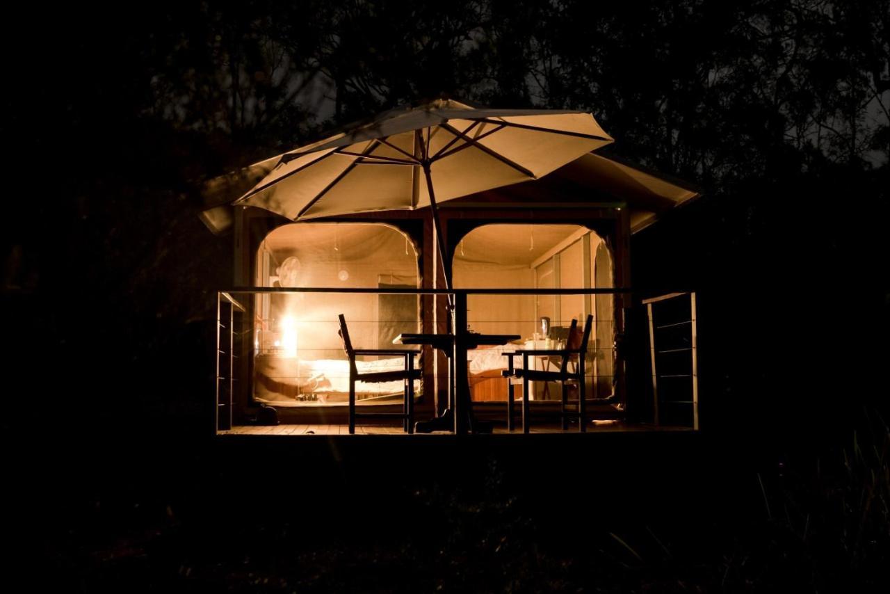 Wild Nature Lodge, Mareeba Wetlands Biboohra Bagian luar foto