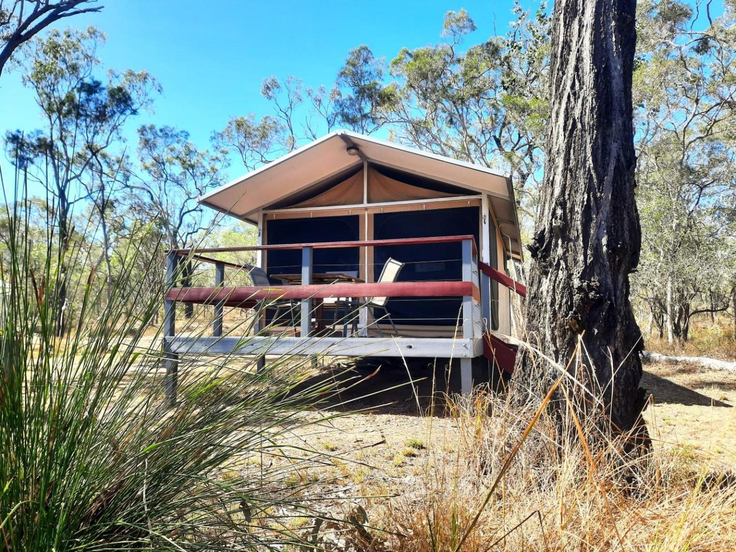 Wild Nature Lodge, Mareeba Wetlands Biboohra Bagian luar foto