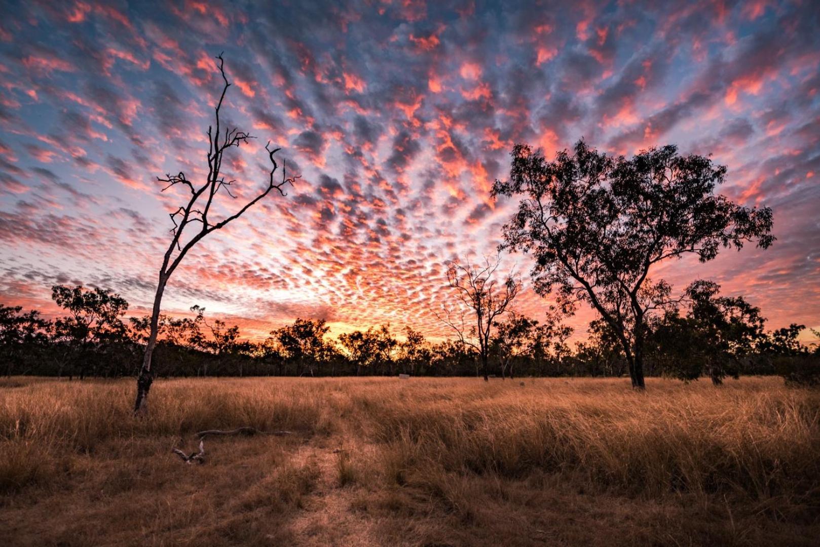 Wild Nature Lodge, Mareeba Wetlands Biboohra Bagian luar foto